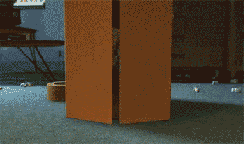 Woody stepping out of box gif